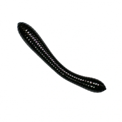 Revol Baits nástraha Leech 50mm príchuť krevetka, farba čierna 12ks Revol Baits nástraha Leech 50mm príchuť krevetka, farba čierna 12ks