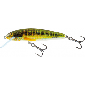 Salmo wobler Minnow Floating Holo Real Minnow 6cm 4g Salmo wobler Minnow Floating Holo Real Minnow 6cm 4g