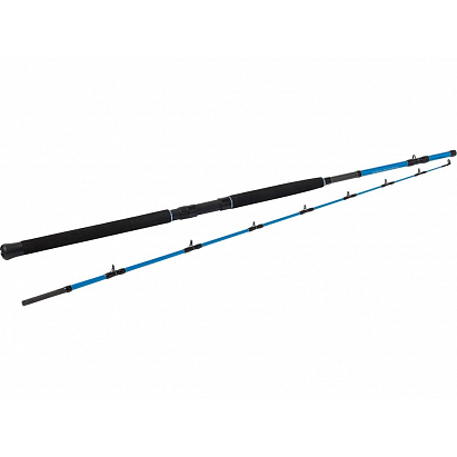 Kinetic Prut Manticore FS 1,95 m 200-600 g 2 díl Kinetic Prut Manticore FS 1,95 m 200-600 g 2 díl