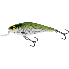 Salmo wobler Executor shallow runner olive Bleak 5cm Salmo wobler Executor shallow runner olive Bleak 5cm