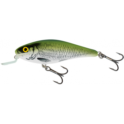 Salmo wobler Executor shallow runner olive Bleak 5cm Salmo wobler Executor shallow runner olive Bleak 5cm