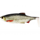 Westin Gumová Nástraha Ricky The Roach Shadtail Real Roach 10 cm 14g