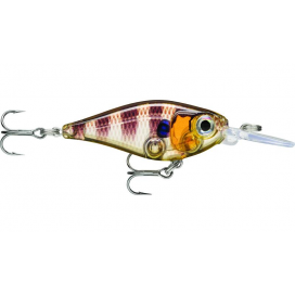 X-Light Shad 04