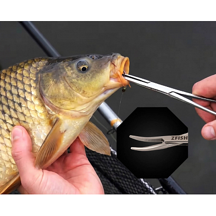 Zfish Pean Rovný